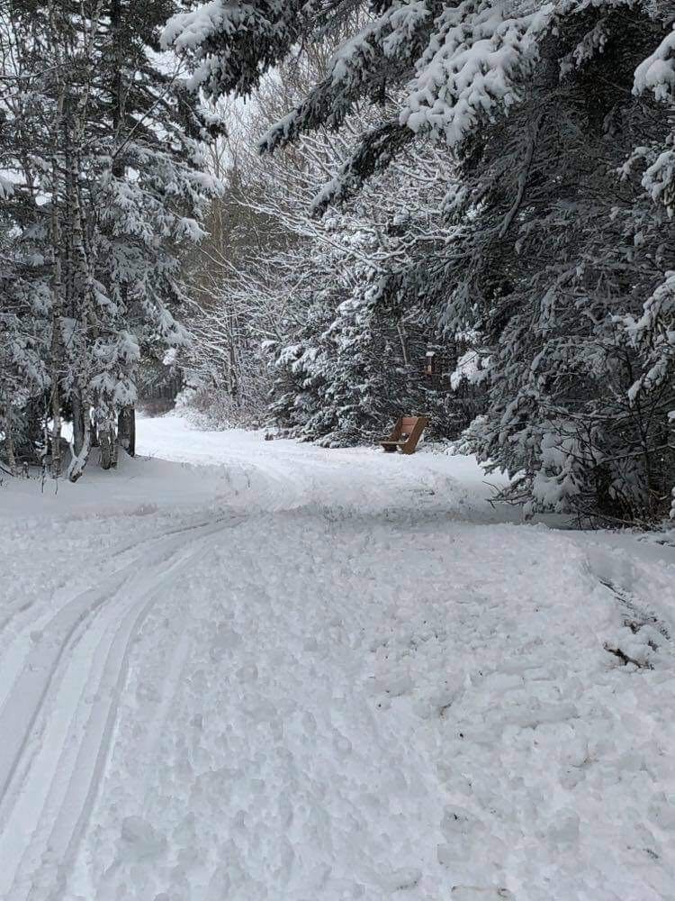 Piste de ski de fond 1